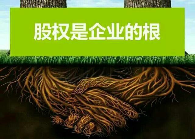 【财税顾问】如何建立企业风险